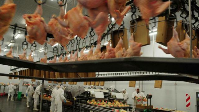 Con la venta de Avex, el Gigante BRF completó su salida de la Argentina