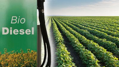 Autorizan un incremento en el precio de los biocombustibles para mayo