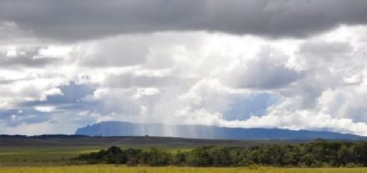 El pronóstico de un Neutro Cálido tiene ahora más chances que El Niño