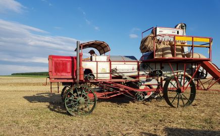 Cosechar con 90 años y una plataforma de madera - Agrolatam