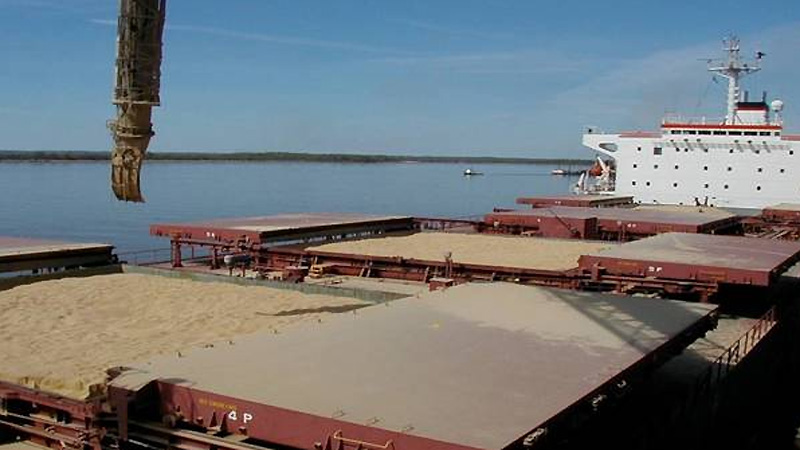 Exportaciones agroindustriales: advierten que este año puede haber una fuerte caída
