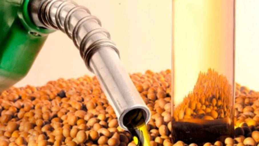 Biodiesel: pymes paradas no abastecen a petroleras, que estarían incumpliendo el corte