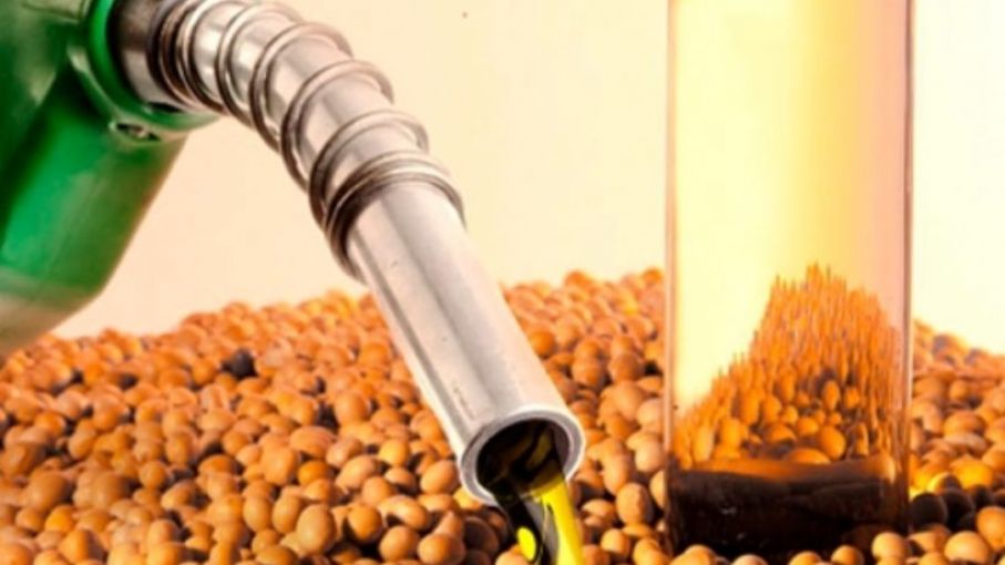 Biodiesel: evalúan mantener el corte de 12,5% para garantizar abastecimiento