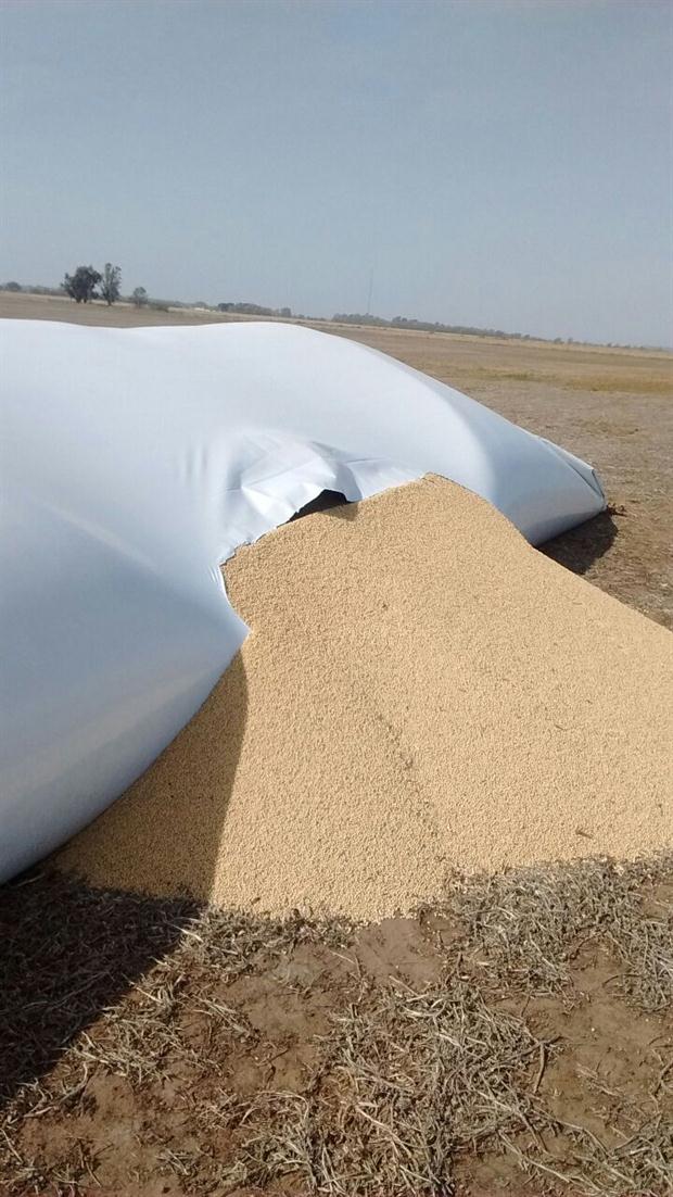 Coninagro Córdoba considera "alentador" el repudio oficial contra el vandalismo rural