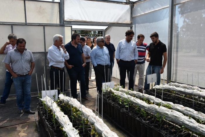 Sarquís en San Pedro destacó la importancia de la frutihorticultura en la Provincia