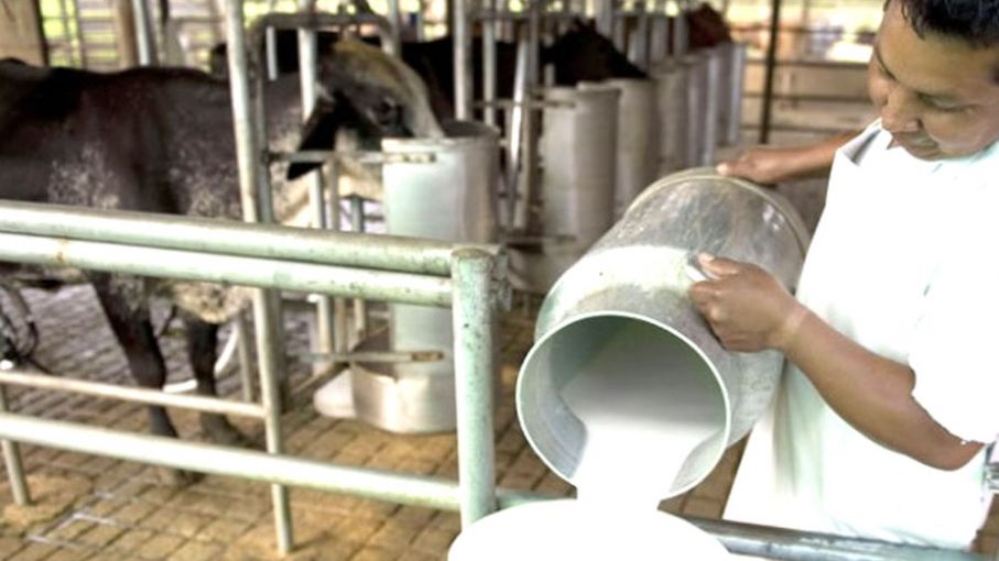 Comó evolucionó la producción de leche hasta enero 2019 - Agrolatam