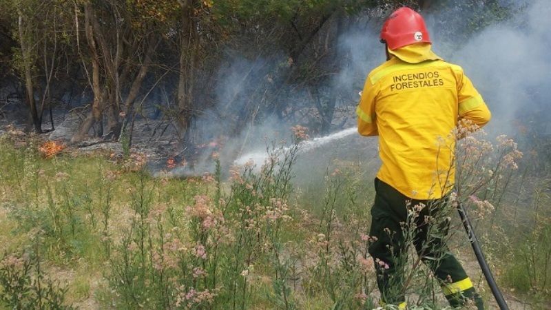 Seis provincias mantienen hoy focos activos de incendios forestales
