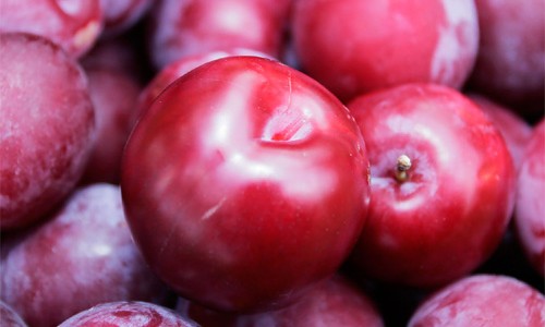 Denuncian que le ofrecen a los productores de ciruelas un 22% menos del valor pautado 