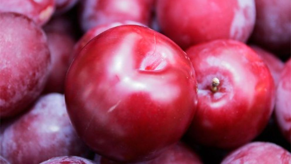 Estiman que la produccin de ciruelas caer un 66%