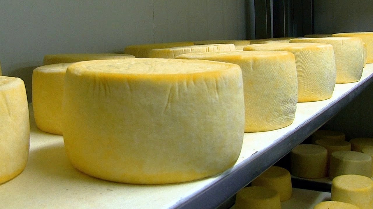 Las exportaciones de las pymes cerraron 2024 con un crecimiento interanual del 17,3% en dólares