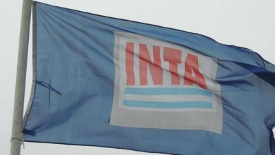 Reforma estructural en el INTA: cierran instalaciones y reducen personal 