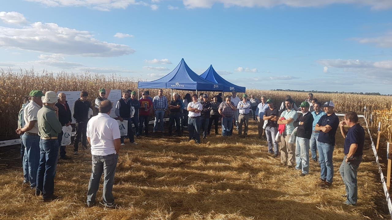 Manejo y genética disponible para la nueva campaña agrícola