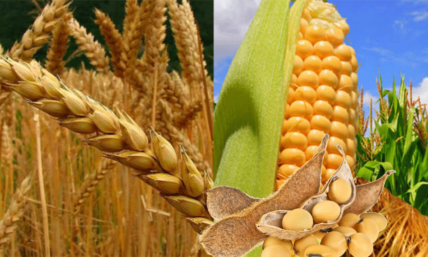 Argentina muestra buenas condiciones de producción