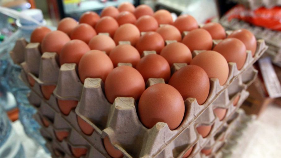Se disparó el precio de los huevos: la docena cuesta más de $250
