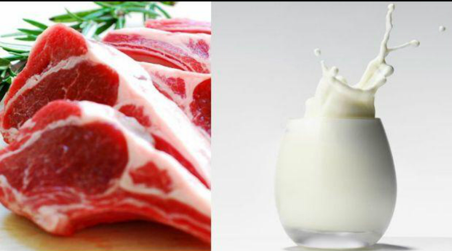El Gobierno oficializó la baja de retenciones a las exportaciones de carnes y lácteos