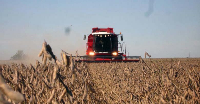 Finaliza cosecha de soja en la zona núcleo con buenos rendimientos a pesar de las dificultades climáticas