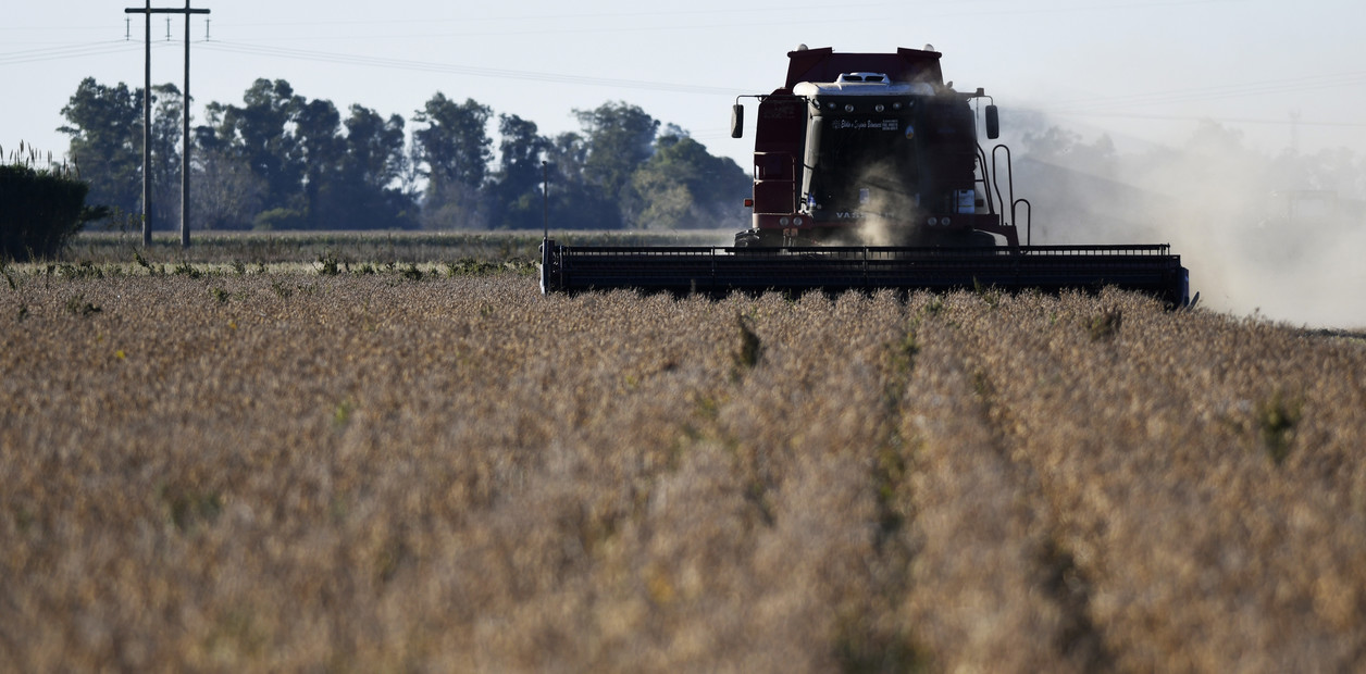 La inversión del sector agroindustrial cayó en el 2020