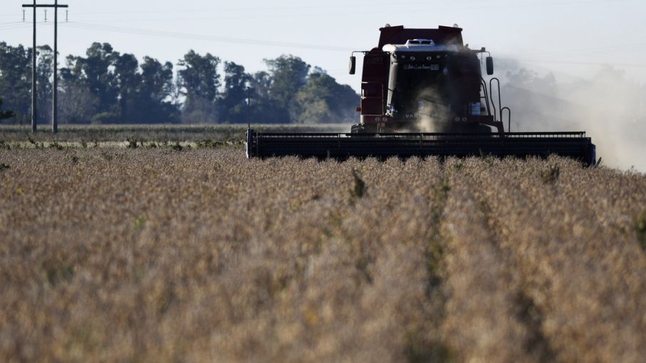 "Si logramos estos objetivos, la producción argentina no tiene techo"