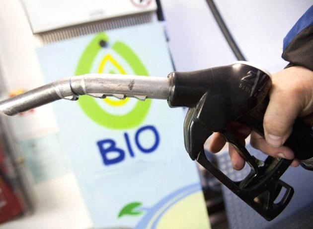 Biocombustibles: advierten que la nueva ley no beneficiará a los precios en surtidor