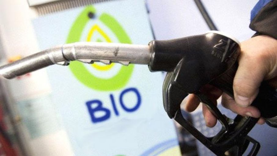 Productores de biocombustibles rechazan proyecto oficialista y piden prorrogar ley vigente