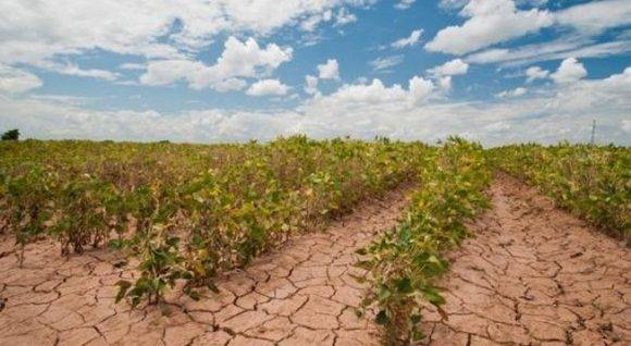 "el mundo está ardiendo y es urgente revertir el curso del cambio climático"