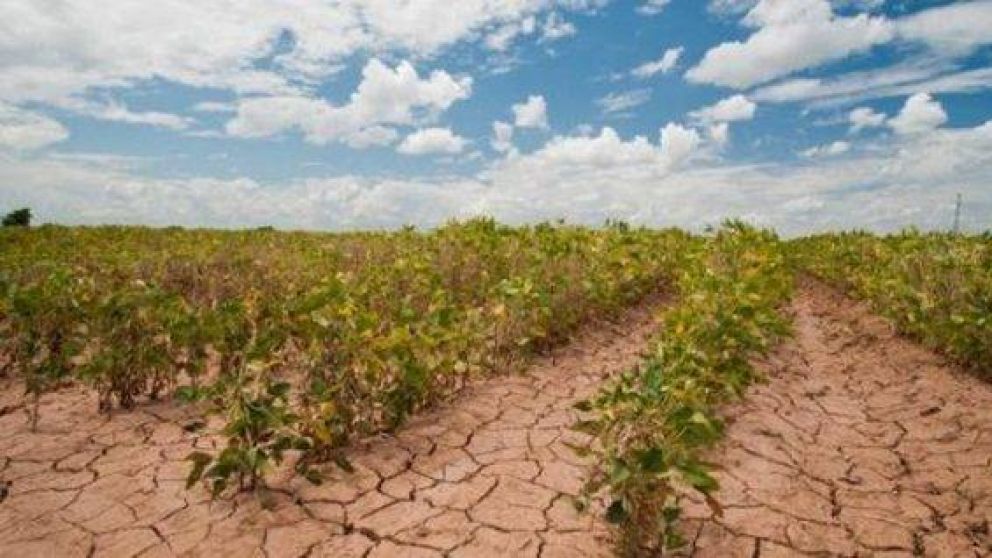 "el mundo est ardiendo y es urgente revertir el curso del cambio climtico"