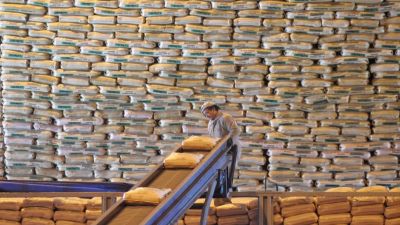 Las exportaciones agroindustriales crecieron 56% en volumen en 2024