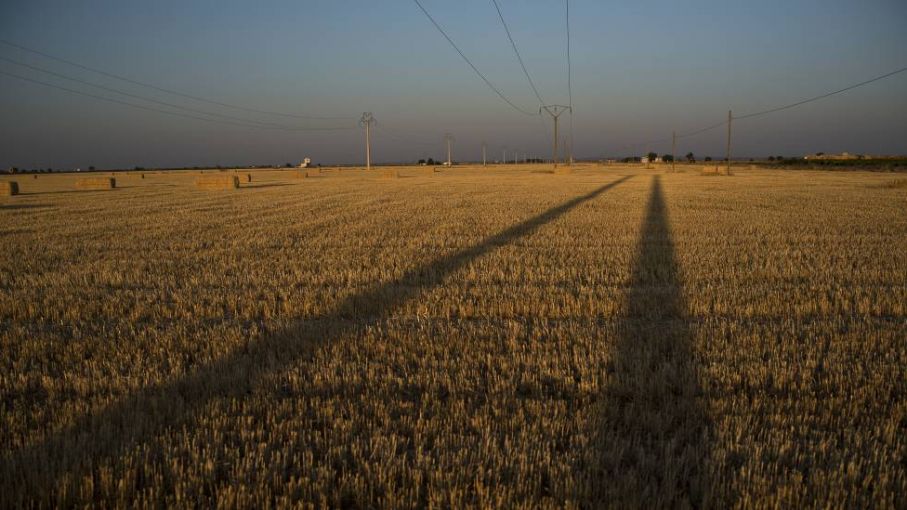 La OCDE mejora las perspectivas económicas para la Argentina