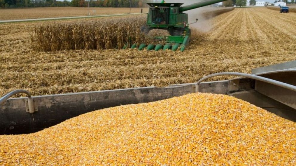 Rusia y Ucrania negociarn en Turqua por toneladas de cereales bloqueados