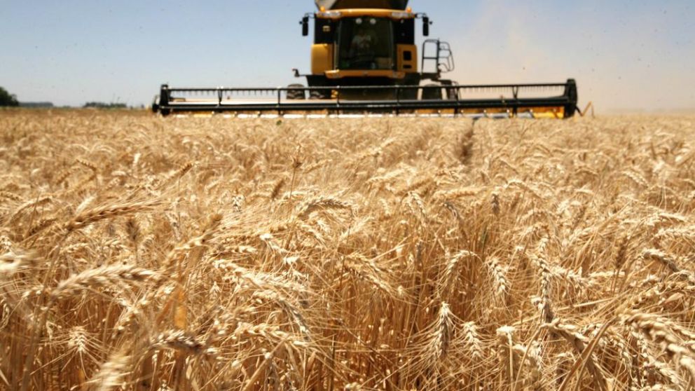 Imparable! El campo rescata la economa: Cmo logr un crecimiento del 11,1% en 2024?