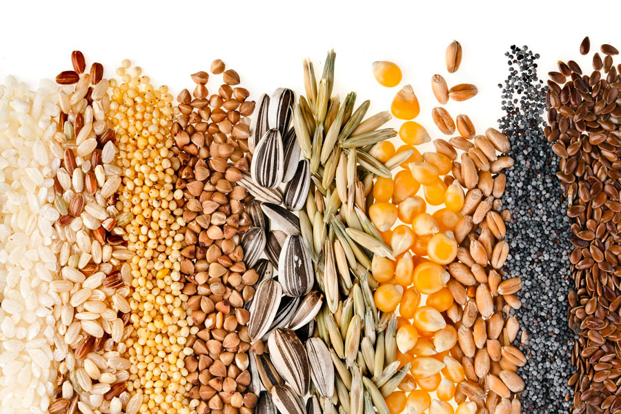 Los profesionales agronómicos apoyan la adhesión a UPOV91