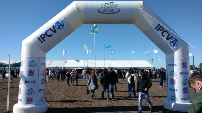 Ganadería en Río Negro: próxima jornada a campo del Ipcva