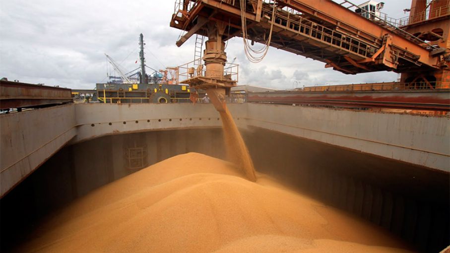 Suspenden las exportaciones de maíz