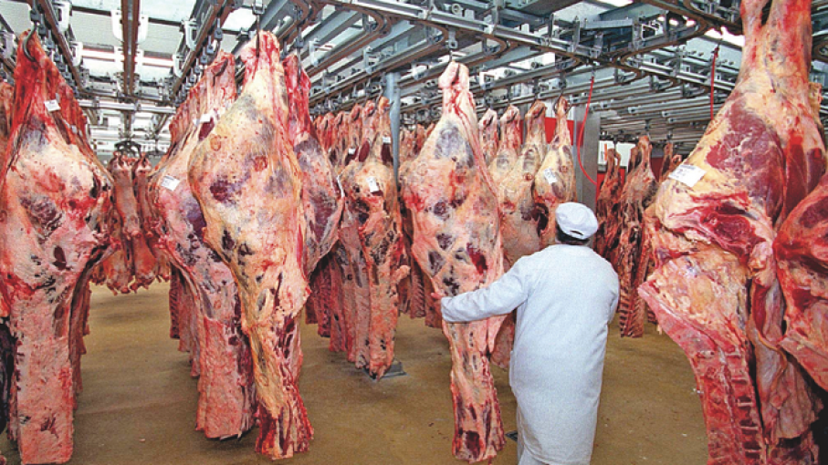 Carne argentina a la Unión Europea: crece la competencia