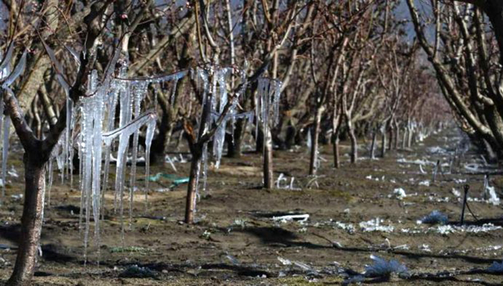 Anuncian en Mendoza  nuevas zonas incluidas en emergencia o desastre agropecuario
