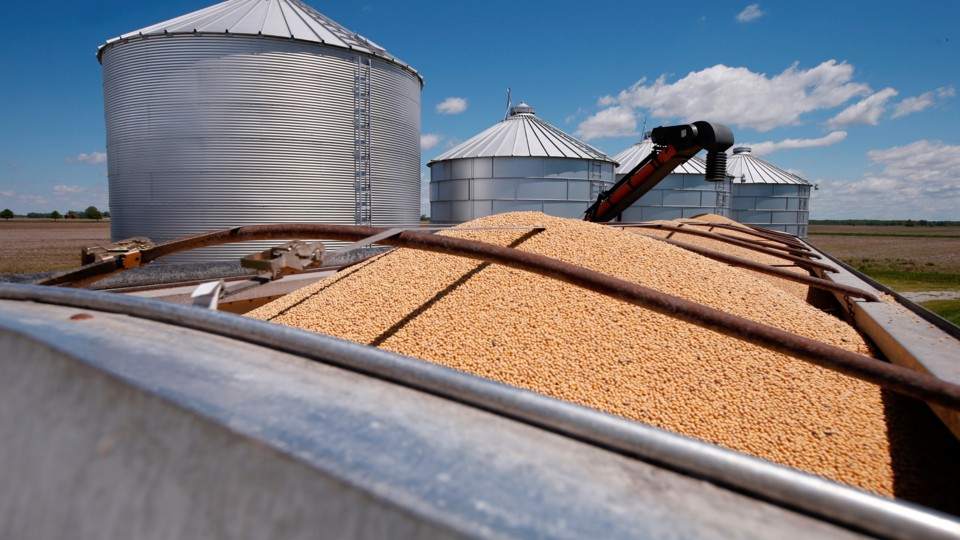 Declaran exportaciones del complejo sojero por 1,2 millones de toneladas en tres días