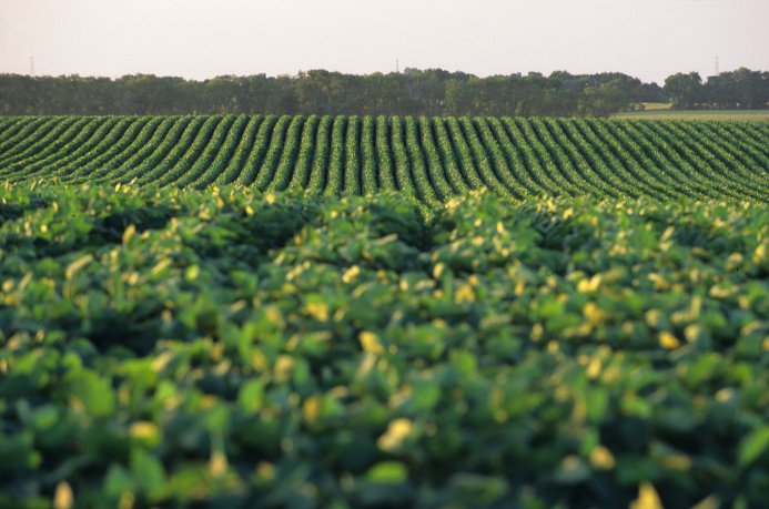 Las intenciones de inversión del campo son las más altas en dos años