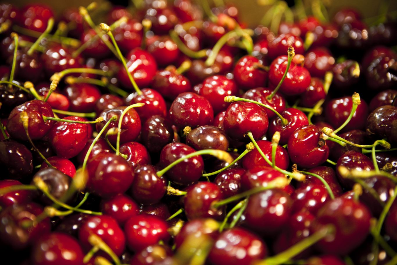 Se abrió el mercado tailandés para las uvas y cerezas argentinas