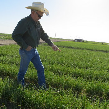 Los ingresos de los farmers cayeron más de 40% en 6 años