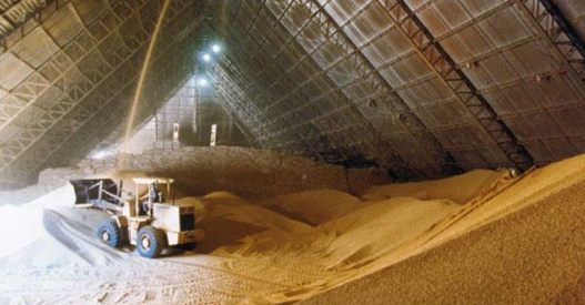 Caída en la molienda de soja en abril: señales de alarma para la industria y el Gobierno