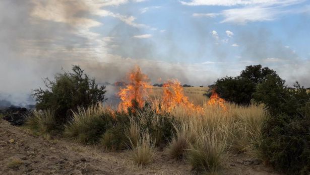 Se redujeron a cinco las provincias con incendios activos 