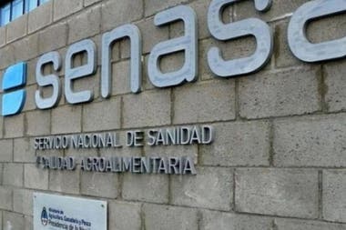 " EL SENASA va al paro por promesas incumplidas de Massa "