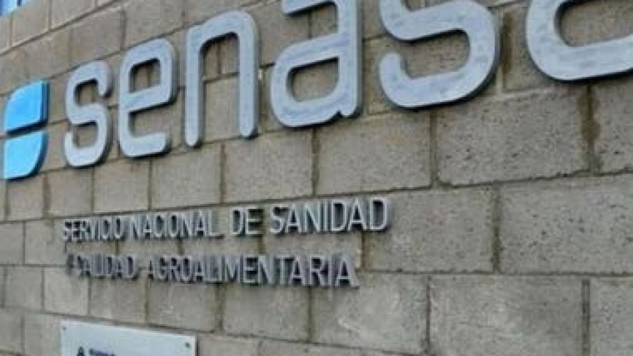 " EL SENASA va al paro por promesas incumplidas de Massa "
