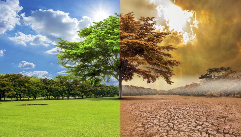 Syngenta pone 2000 mill/dol para abordar el cambio climático