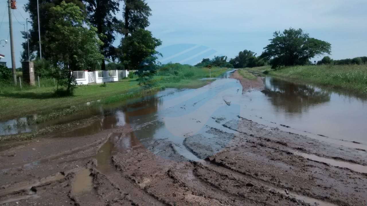 Productores de SF en alerta ante posible nuevo gravamen para caminos rurales
