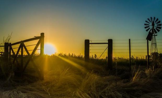 Detectan un repunte en la venta de campos