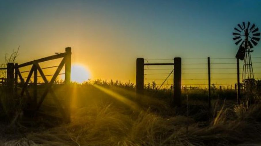 La brecha cambiaria paralizó al mercado inmobiliario rural