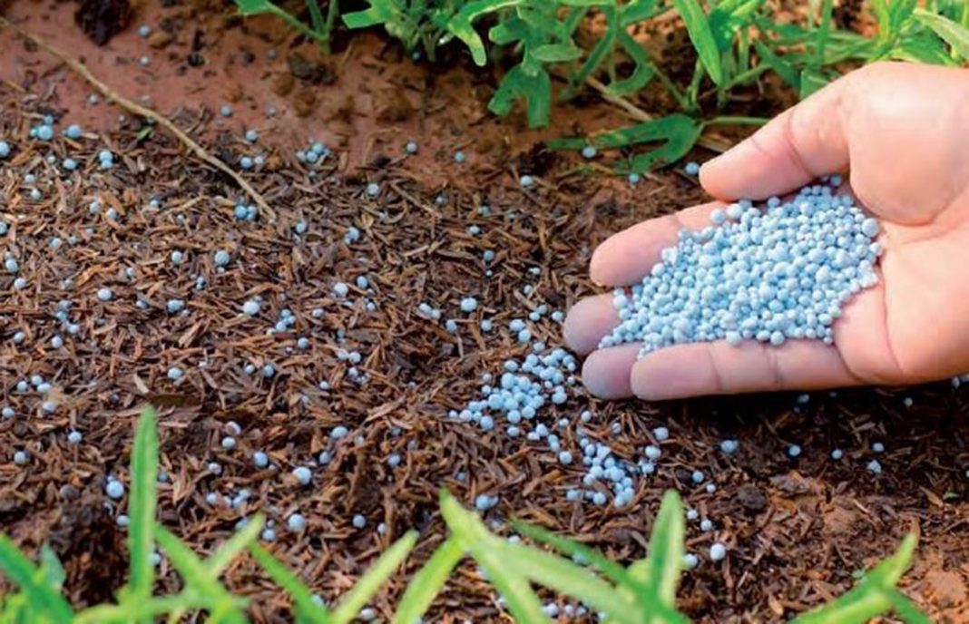 Biofertilizantes, la propuesta de la FAO para enfrentar la escasez de fertilizantes por la guerra