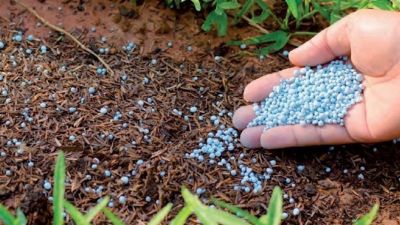 Biofertilizantes, la propuesta de la FAO para enfrentar la escasez de fertilizantes por la guerra