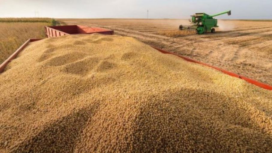 El aumento de las exportaciones afecta las reservas de soja y maíz de EE. UU.